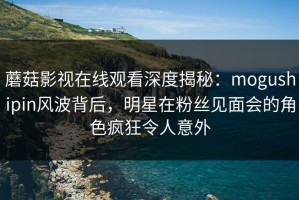 蘑菇影视在线观看深度揭秘：mogushipin风波背后，明星在粉丝见面会的角色疯狂令人意外