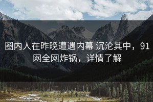圈内人在昨晚遭遇内幕 沉沦其中，91网全网炸锅，详情了解
