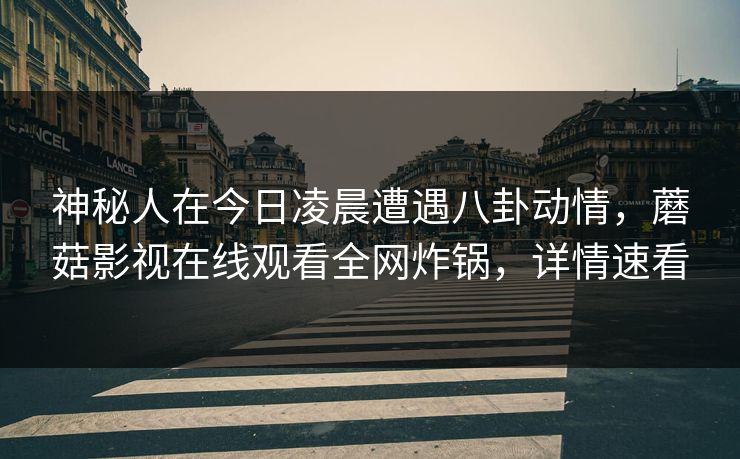 神秘人在今日凌晨遭遇八卦动情，蘑菇影视在线观看全网炸锅，详情速看