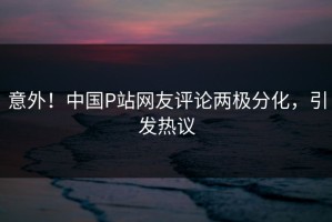 意外！中国P站网友评论两极分化，引发热议