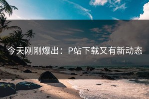 今天刚刚爆出：P站下载又有新动态