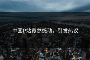 中国P站竟然感动，引发热议
