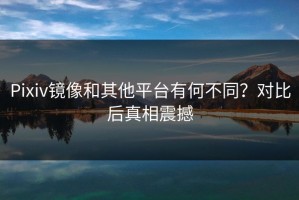 Pixiv镜像和其他平台有何不同？对比后真相震撼