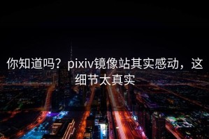 你知道吗？pixiv镜像站其实感动，这细节太真实