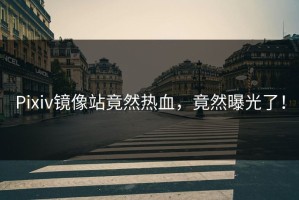 Pixiv镜像站竟然热血，竟然曝光了！