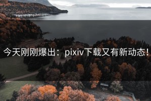 今天刚刚爆出：pixiv下载又有新动态！