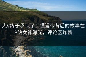 大V终于承认了！懂漫帝背后的故事在P站女神曝光，评论区炸裂
