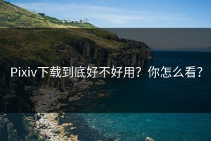 Pixiv下载到底好不好用？你怎么看？