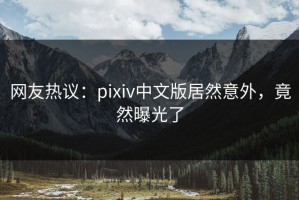 网友热议：pixiv中文版居然意外，竟然曝光了