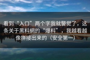 看到“入口”两个字我就警觉了，这条关于黑料網的“爆料”，我越看越像拼接出来的（安全第一）