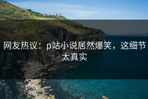 网友热议：p站小说居然爆笑，这细节太真实