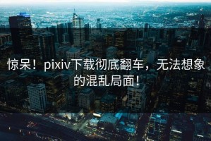惊呆！pixiv下载彻底翻车，无法想象的混乱局面！