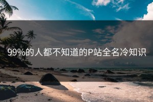 99%的人都不知道的P站全名冷知识