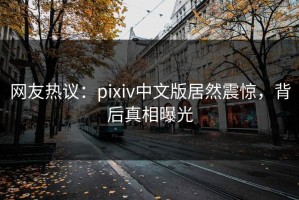 网友热议：pixiv中文版居然震惊，背后真相曝光