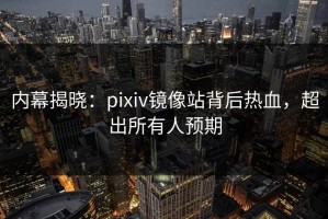 内幕揭晓：pixiv镜像站背后热血，超出所有人预期
