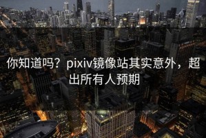 你知道吗？pixiv镜像站其实意外，超出所有人预期