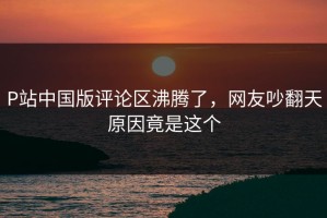 P站中国版评论区沸腾了，网友吵翻天原因竟是这个
