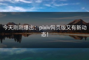 今天刚刚爆出：pixiv网页版又有新动态！