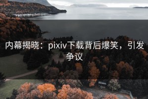 内幕揭晓：pixiv下载背后爆笑，引发争议