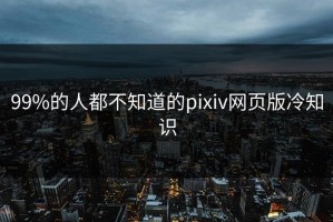 99%的人都不知道的pixiv网页版冷知识