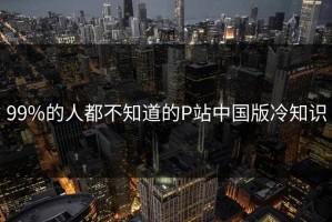 99%的人都不知道的P站中国版冷知识