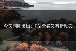 今天刚刚爆出：P站全名又有新动态