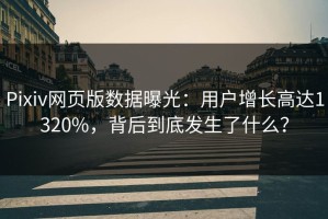 Pixiv网页版数据曝光：用户增长高达1320%，背后到底发生了什么？