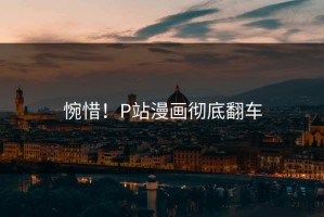 惋惜！P站漫画彻底翻车