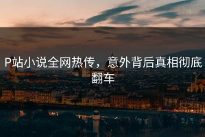 P站小说全网热传，意外背后真相彻底翻车