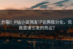 炸裂！P站小说网友评论两极分化，究竟是谁引发的热议？