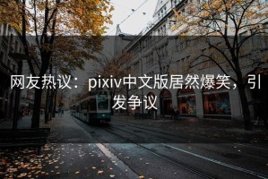 网友热议：pixiv中文版居然爆笑，引发争议