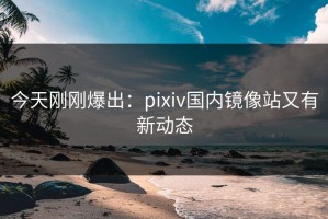 今天刚刚爆出：pixiv国内镜像站又有新动态