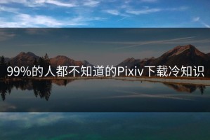 99%的人都不知道的Pixiv下载冷知识