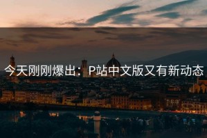 今天刚刚爆出：P站中文版又有新动态