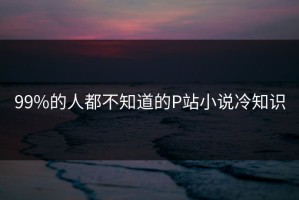 99%的人都不知道的P站小说冷知识