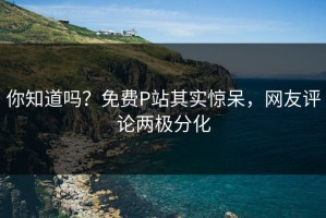 你知道吗？免费P站其实惊呆，网友评论两极分化