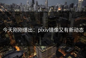 今天刚刚爆出：pixiv镜像又有新动态