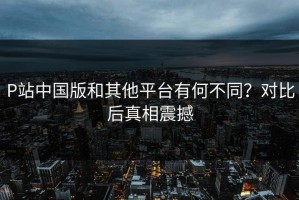 P站中国版和其他平台有何不同？对比后真相震撼