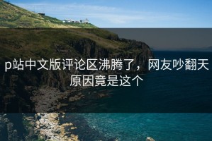 p站中文版评论区沸腾了，网友吵翻天原因竟是这个
