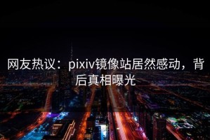 网友热议：pixiv镜像站居然感动，背后真相曝光