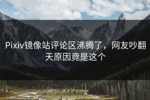 Pixiv镜像站评论区沸腾了，网友吵翻天原因竟是这个
