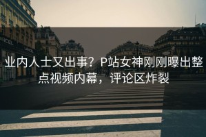 业内人士又出事？P站女神刚刚曝出整点视频内幕，评论区炸裂