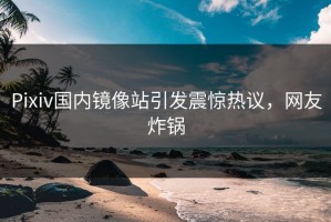 Pixiv国内镜像站引发震惊热议，网友炸锅