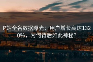 P站全名数据曝光：用户增长高达1320%，为何背后如此神秘？