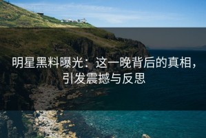 明星黑料曝光：这一晚背后的真相，引发震撼与反思