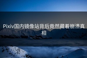 Pixiv国内镜像站背后竟然藏着崩溃真相