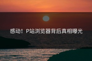 感动！P站浏览器背后真相曝光