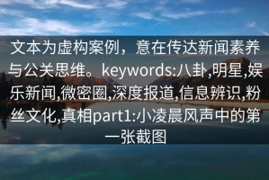 文本为虚构案例，意在传达新闻素养与公关思维。keywords:八卦,明星,娱乐新闻,微密圈,深度报道,信息辨识,粉丝文化,真相part1:小凌晨风声中的第一张截图
