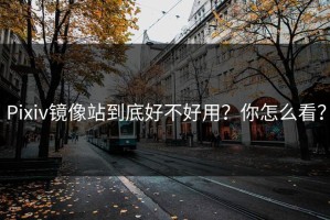 Pixiv镜像站到底好不好用？你怎么看？