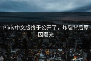 Pixiv中文版终于公开了，炸裂背后原因曝光